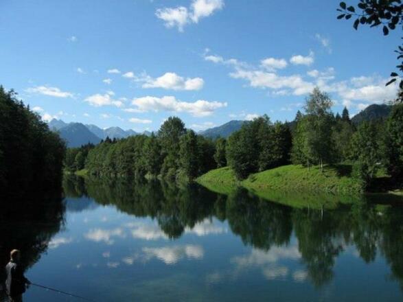 Auwaldsee Sommer