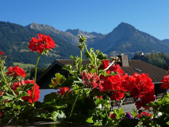 Balkonausblick