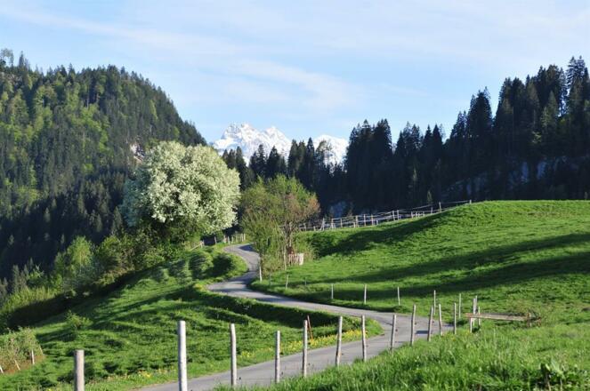 Landschaft Obermaiselstein 2