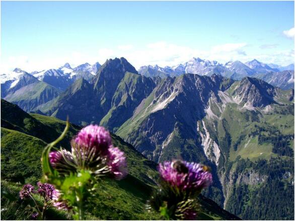 Bergtour mit Sicht auf die Höfats