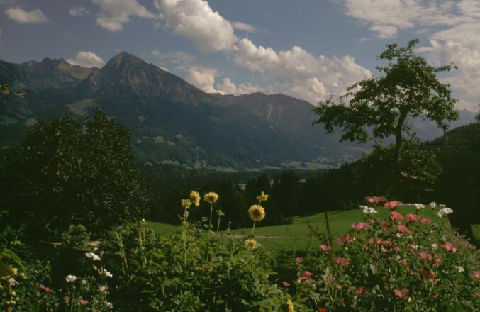 Aussicht Sommer vom Gästehaus Finkel in Maderhalm