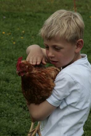 Kind bei den Kleintieren 2