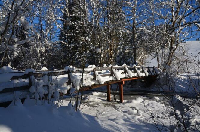Winterlandschaft