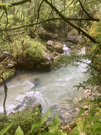 Waldbach im Echerntal in Hallstatt