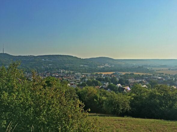 Morgensonne bei Bad Mergentheim