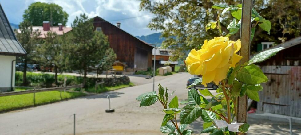 Landhaus Traumblick Sennerei und Cafe Mayr