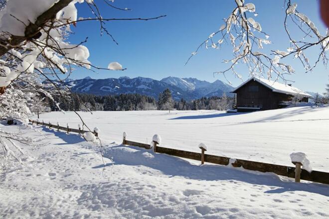 Winterlandschaft mit Bergblick