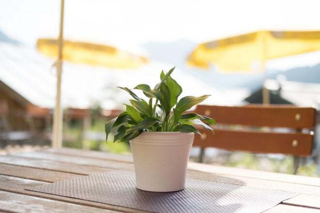 Entspannen auf der Terrasse