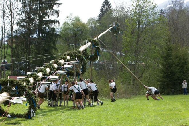 Maibaumaufstellen