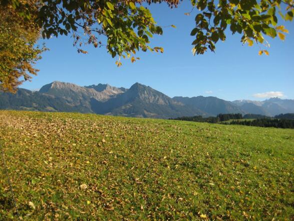 wunderschöne Wanderungen direkt vom Hof aus