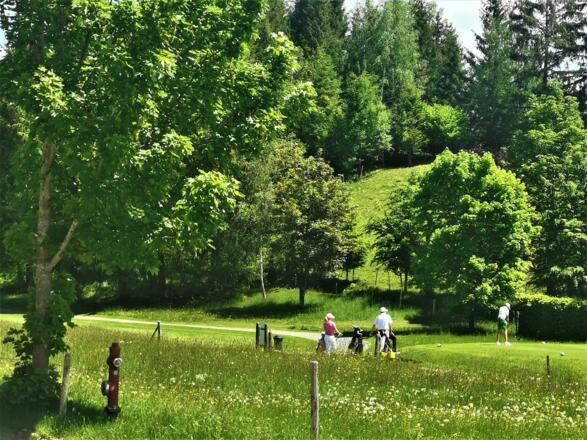 Ferienwohnung Edelweiss, Heidi