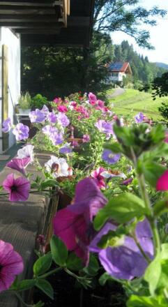 Sommerstimmung Haus am Bach