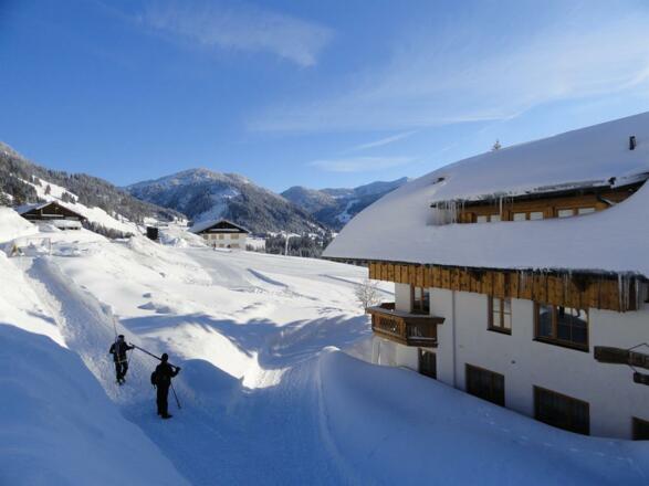 Ferienhof Almfrieden - Wintertraum