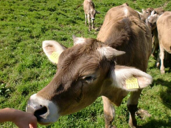 Ganz schön neugierig....