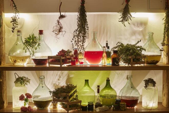 HUBERTUS Balderschwang Kräuterei