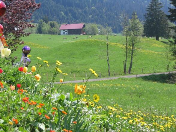 Ausblick von FeWo Akelei u. Malve