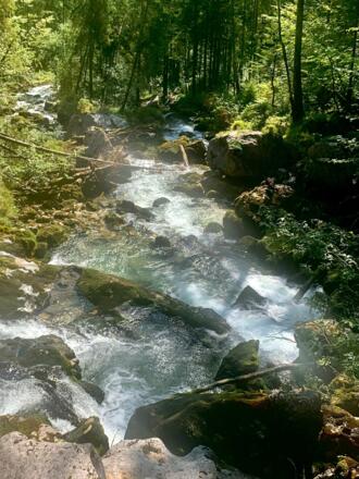 Waldbach bei der Strubbrücke