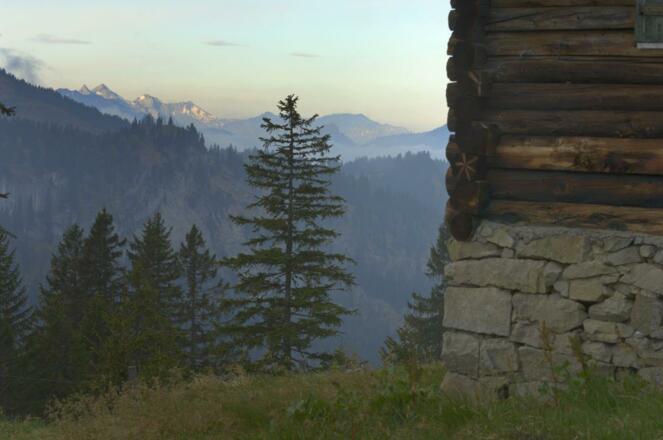 HUBERTUS Balderschwang Natur