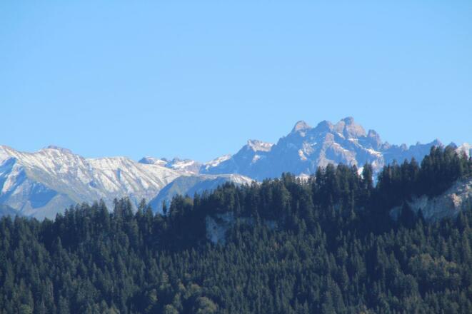 Panorama