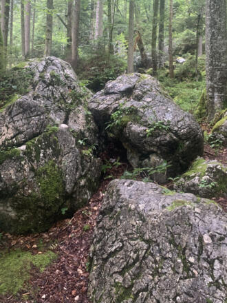 Felsbrocken aus der Echernwand