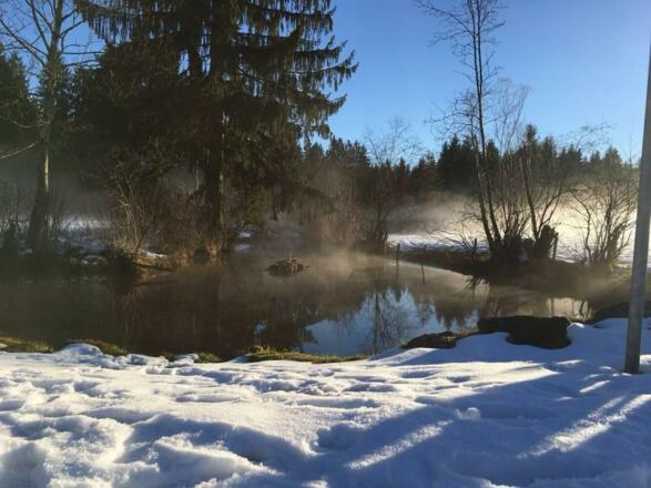 Winter am Bach in Fischen