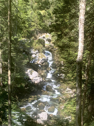 Waldbach im hinteren Echerntal