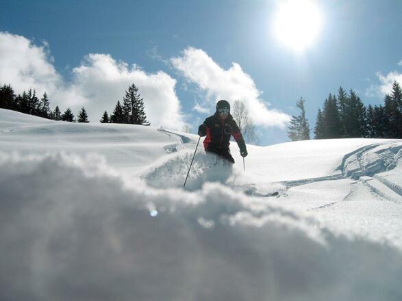 Skifahren im Tiefschnee