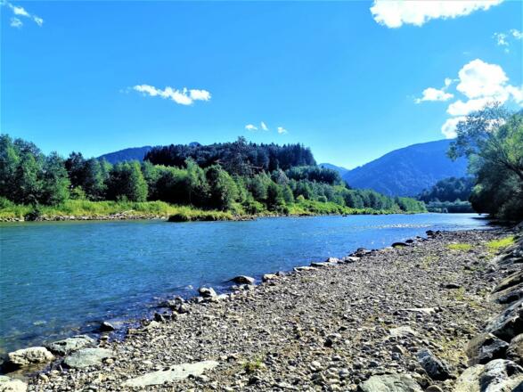 Ferienwohnung Edelweiss, Heidi 8