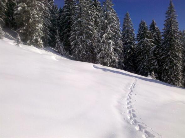 Ihre Wintertour mit Alpenblick