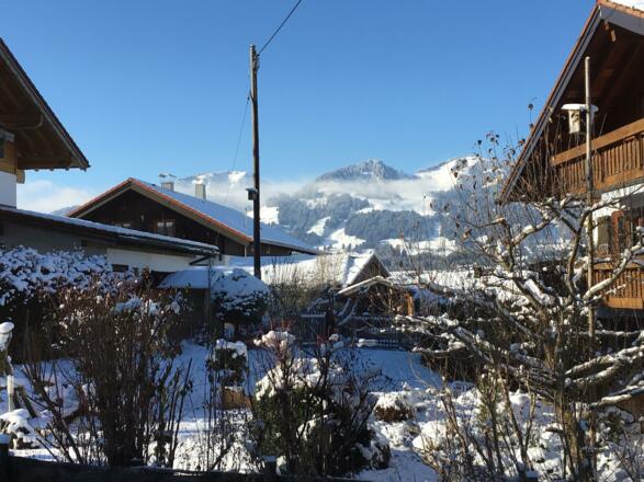 Garten mit Blick auf das Bolsterlanger Horn