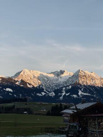 IMG_2625
