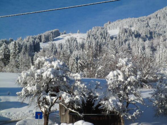 Blick vom Westbalkon