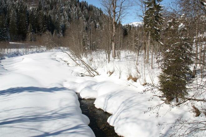 Bolgenach - Winterimpression