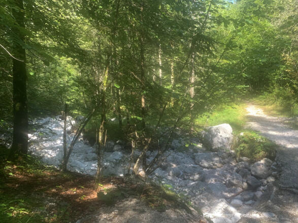 Der Weg über den Brandbach