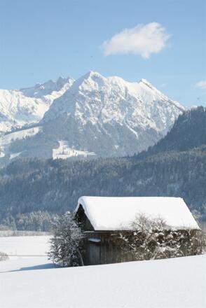 Winter