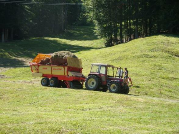 bei der Heuernte