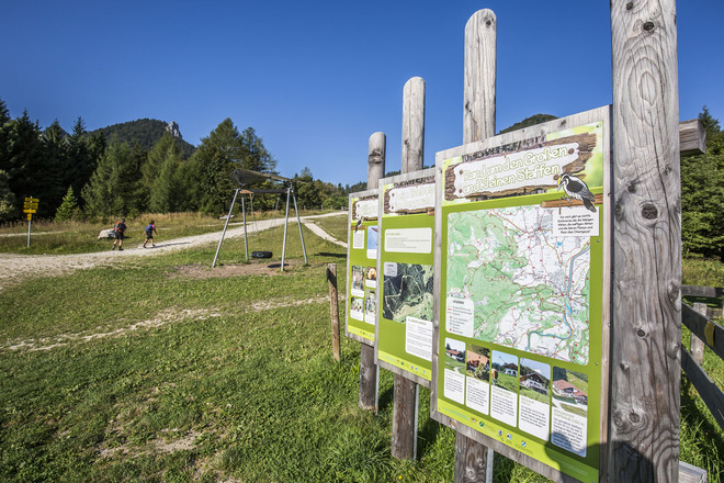 Direkt ab der Bergstation der Hochplattenbahn beginnt der Bergwalderlebnisweg Staffen - zugleich die Marquartsteiner SalzAlpenTour