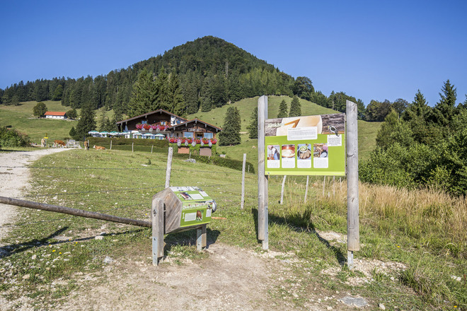 Empfehlenswerte Einkehr an der Marquartsteiner SalzAlpenTour - die Staffn-Alm