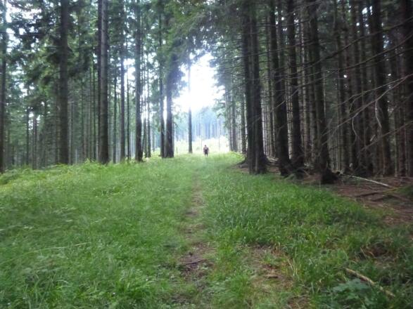 vor dem Zinnkopf - Chiemgauer100