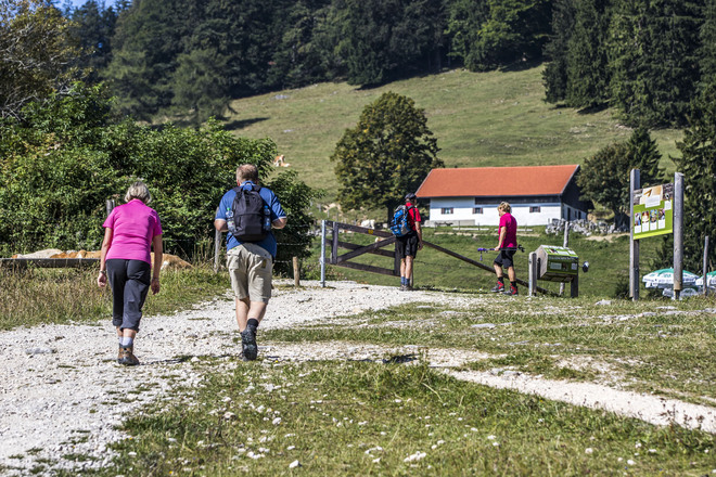 Die Marquartsteinerr SalzAlpenTour führt über Almwiesen und bietet mit dem Bergwalderlebnisweg Staffen interessane Informationen