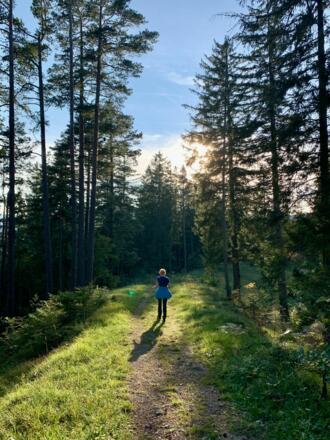 natur.BANK.wege | Gaflenz | Heiligenstein | 333401