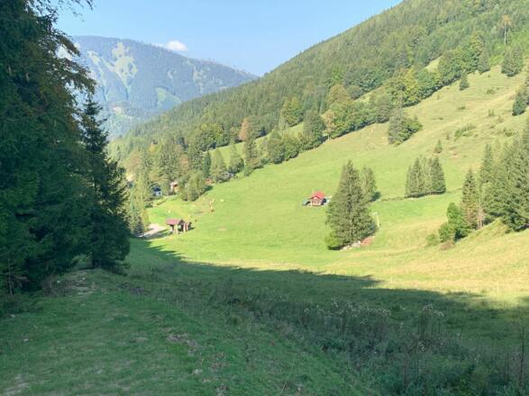 natur.BANK.wege | Weyer | Bärenkogel | 333512