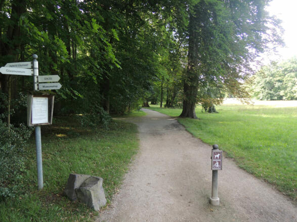 Der Weg führt uns zum Schwanensee im Schlosspark Rosenau.