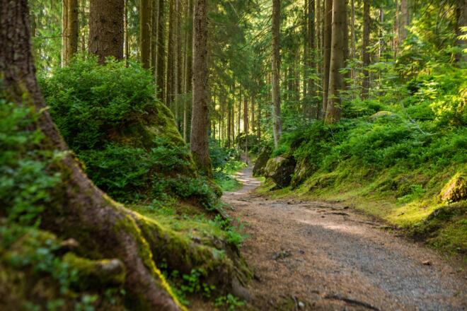 Talweg von St. Gallenkirch nach Partenen