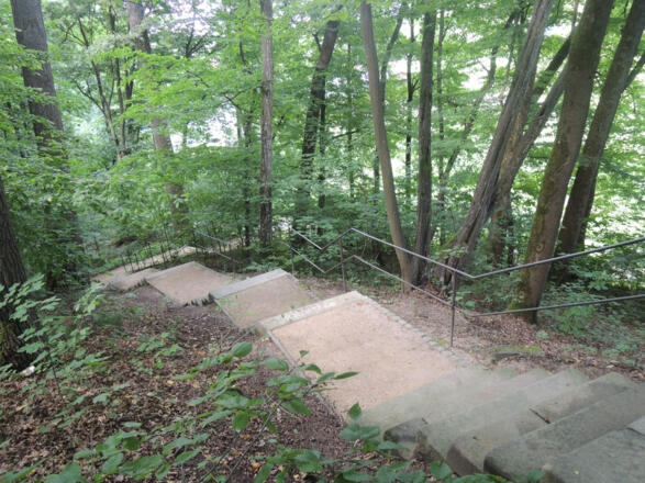 Wir laufen im Schlosspark Rosenau die Treppen hinunter