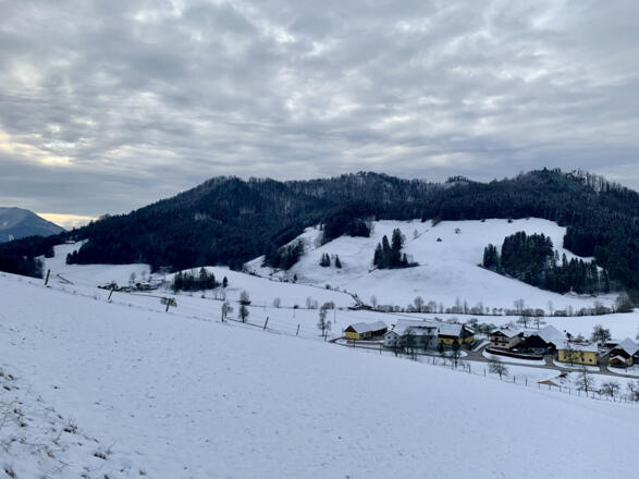 natur.BANK.wege | Gaflenz | Bärenreithweg | 333403