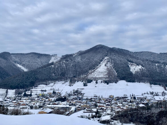 natur.BANK.wege | Gaflenz | Bärenreithweg | 333403
