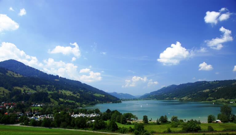 Blick auf den Alpsee