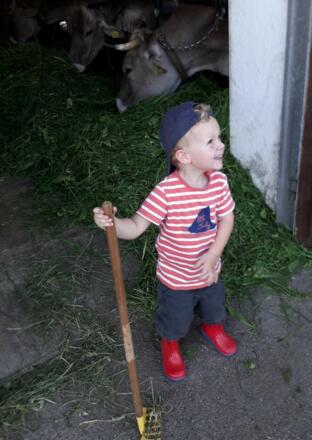 Fütterung geschafft!