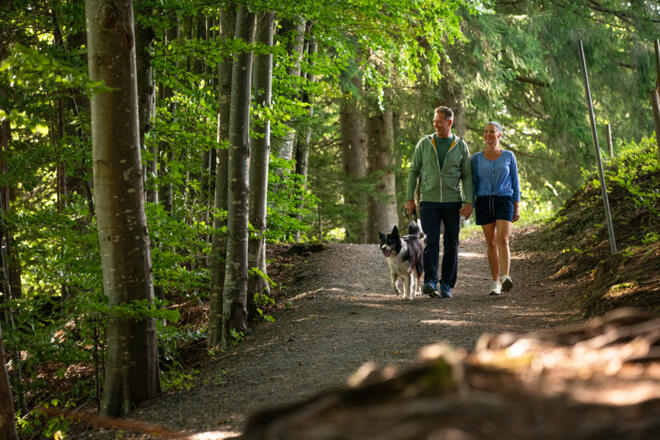 Unterwegs in Oberstaufens Wäldern